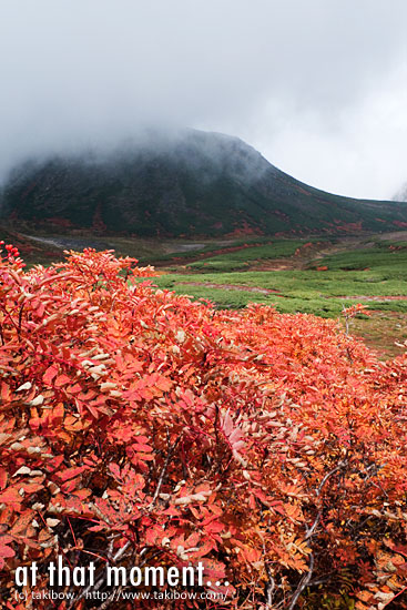 大雪山紅葉　黒岳-北鎮岳