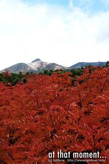 大雪山紅葉　黒岳-北鎮岳