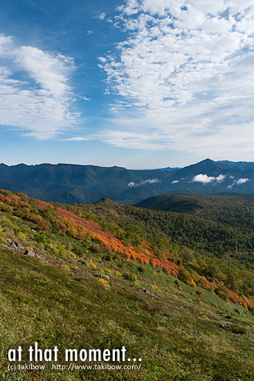 紅葉-赤岳・白雲岳・緑岳