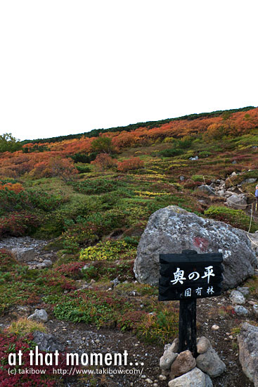 紅葉-赤岳・白雲岳・緑岳