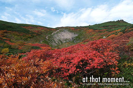 紅葉-赤岳・白雲岳・緑岳