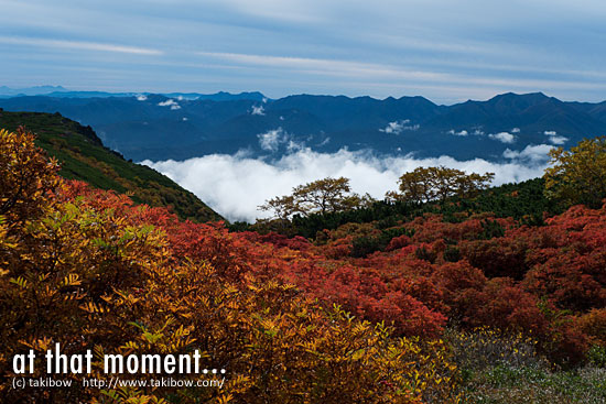 紅葉-赤岳・白雲岳・緑岳