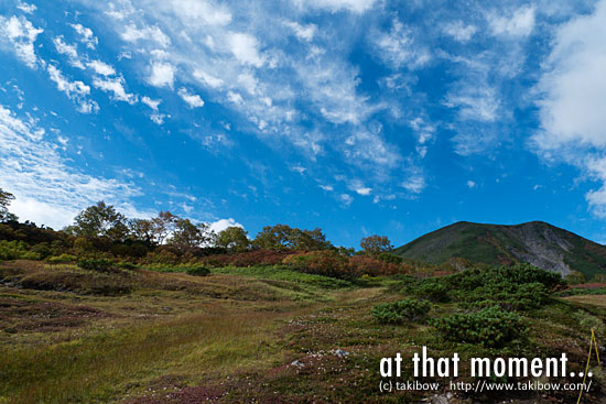 紅葉-赤岳・白雲岳・緑岳