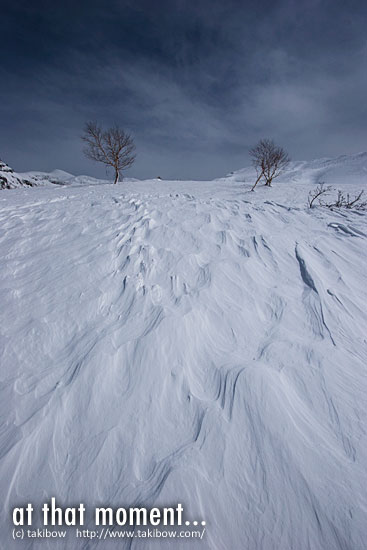 雪紋