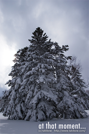 雪化粧