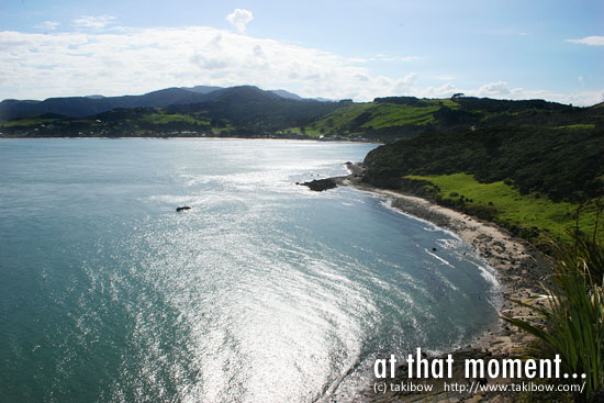 Arai te Uru（New Zealand）