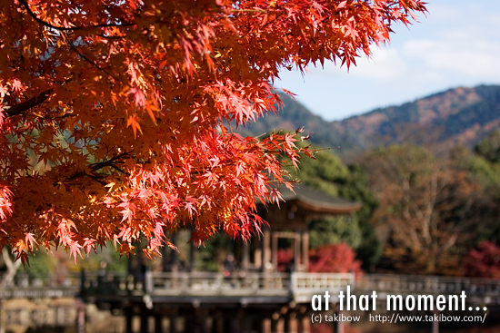 紅葉 with 浮見堂